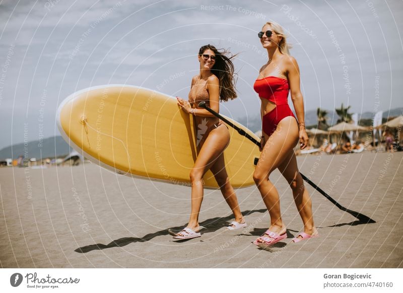 Zwei junge Frauen mit Paddelbrett am Strand an einem Sommertag attraktiv schön Bikini Holzplatte Küste Tag passen Freunde Freundschaft Spaß Glück Lifestyle Meer