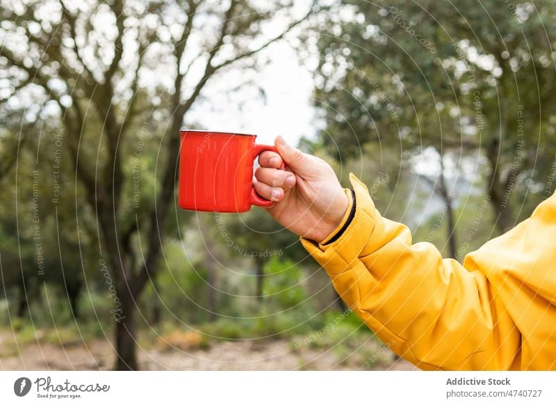 Mann mit Tasse Kaffee im Wald Becher Heißgetränk Wanderer Natur Getränk Trekking Reise Ausflug Kampagne trinken Wanderung Wälder Aktivität Abenteuer männlich