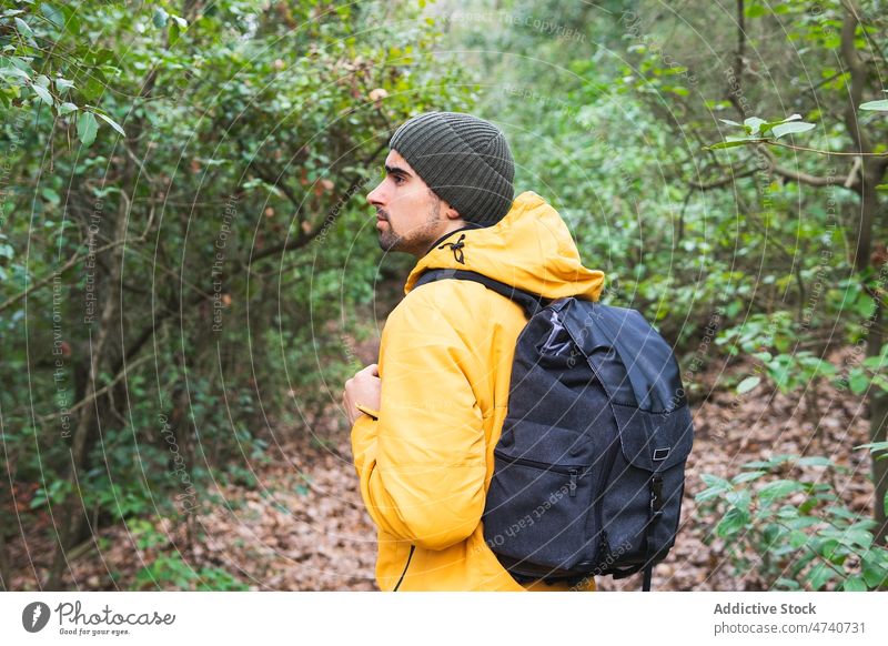 Mann mit Hut geht im Wald spazieren Wanderer Natur Trekking Baum Reise Rucksack erkunden Ausflug Wanderung Wälder Aktivität Abenteuer Vollbart männlich