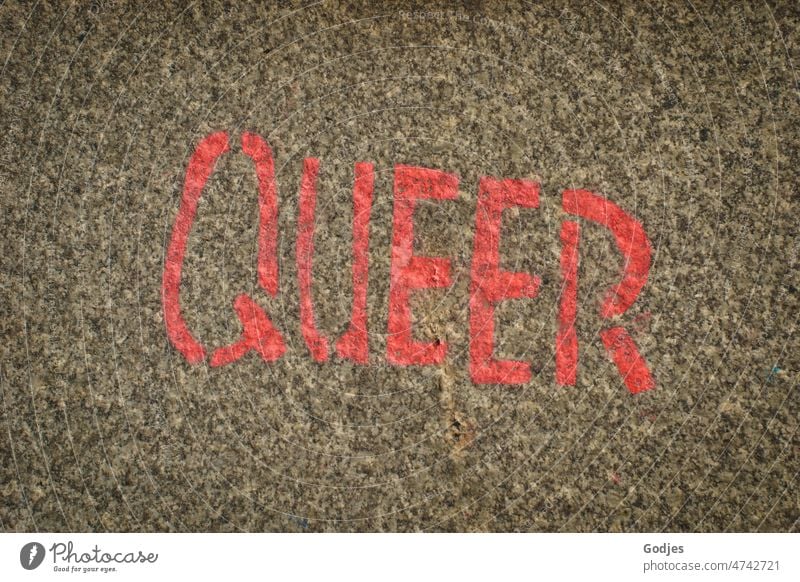 'QUEER' Wort auf Pflasterstein Gender queer Geschlecht Gleichstellung Mann Liebe Homosexualität Mensch androgyn Zusammensein Frau Toleranz Freiheit lgbt