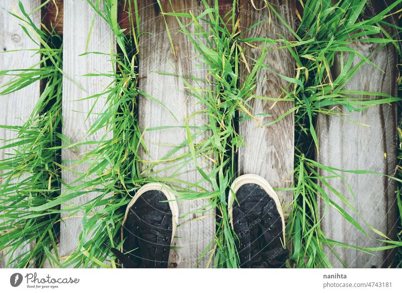 Blick aus der ersten Person auf einen Fuß über Gras und Holz grün Textur frisch Blätter Natur organisch cool kalt schön Frühling Muster abstrakt Ressource