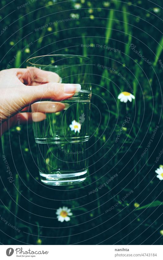 Hnd hält ein Glas voll reinem Wasser in der Natur abstrakt Wetter Blume Regen Reinheit Mineral grün natürlich Klima Wandel & Veränderung durchsichtig