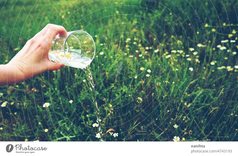 Hnd hält ein Glas voll reinem Wasser in der Natur abstrakt Wetter Blume Regen Reinheit Mineral grün natürlich Klima Wandel & Veränderung durchsichtig