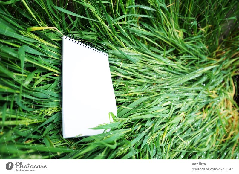 Mock up Bild in frischen organischen Textur Attrappe leer Raum Hinweis Papier grün Natur Notebook Frische Gras Frühling Design Leerraum Weißraum Negativraum