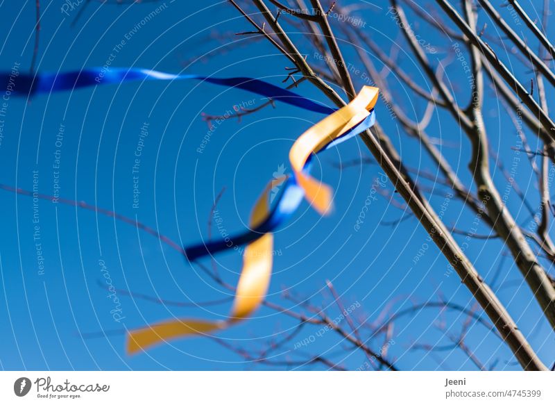blau-gelbe Bändchen flattern im Wind Ukraine Krieg Frieden Weltfrieden Liebe Freiheit Hoffnung Symbole & Metaphern Solidarität Zeichen Band Himmel Zusammenhalt