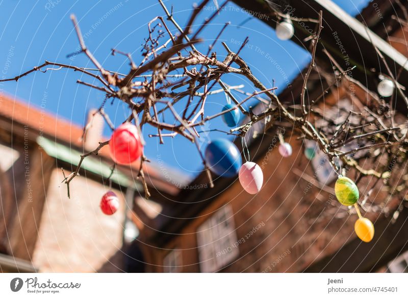 Bunte Ostereier Eier bunt hängen Himmel blau Äste Tradition Frühling Dekoration & Verzierung Feste & Feiern Ostern mehrfarbig