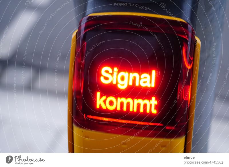 Signal kommt - leuchtet am Drücker einer Fußgängerampel / warten / Sicherheit / Geduld Verkehrswege Straßenverkehr Ampel Symbolik Signal setzen