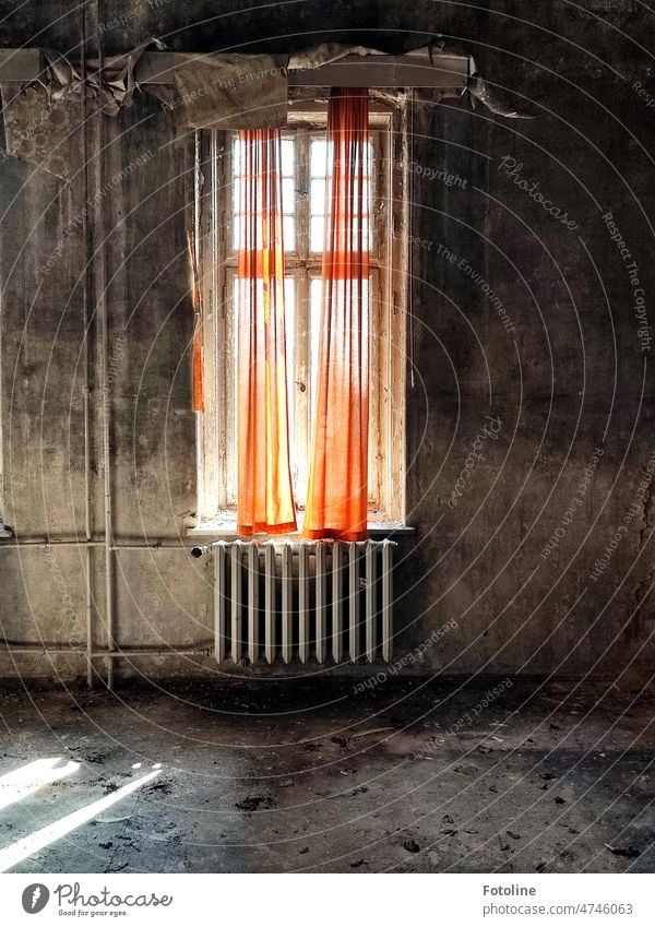 In einem runtergekommenen alten Lost Place hängen orangene Vorhänge vor dem Fenster über der Heizung. Sie heben sich wunderbar vor dem ganzen Grau ab.