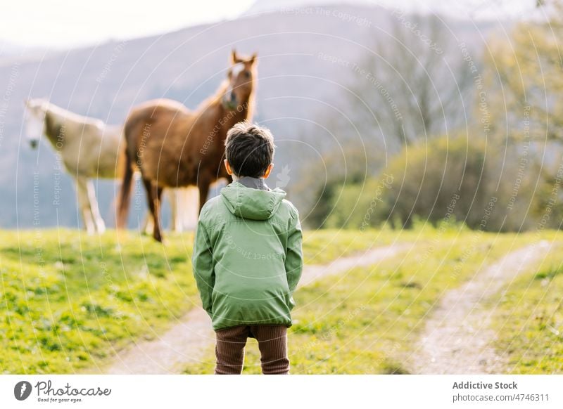 Anonymer Junge in der Natur bei Pferden Kind Weg Kindheit Tier Landschaft pferdeähnlich Grasland Umwelt Viehbestand ländlich Berge u. Gebirge Pflanze bezaubernd