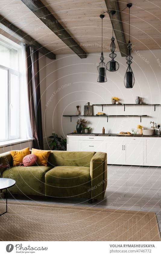 Grünes Velourssofa mit hellen Kissen im skandinavischen Wohnzimmer mit Küche Appartement Möbel im Innenbereich Sofa Dekoration & Verzierung Design Pflanze
