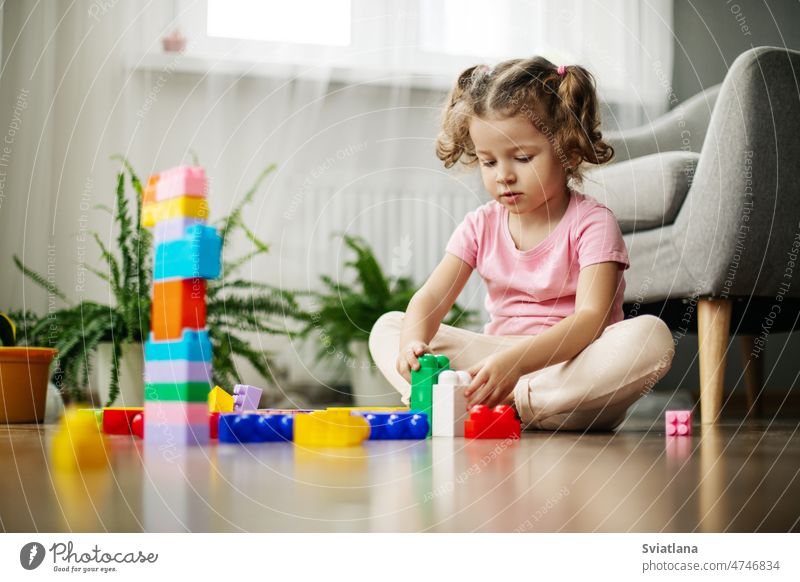 Ein kleines Mädchen sitzt im Spielzimmer auf dem Boden und spielt mit bunten Würfeln, einem Konstrukteur. wenig Kind farbenfroh Stock Sitzen Spielen Bauherr