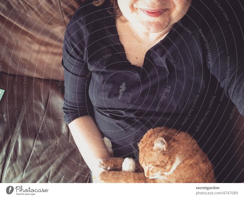 Katzenschnurren macht glücklich. Frau kuscheln Sofa Leder Lächeln Glück Zusammensein Liebe Fröhlichkeit lachen Kuscheln Zufriedenheit Tierliebe Geborgenheit