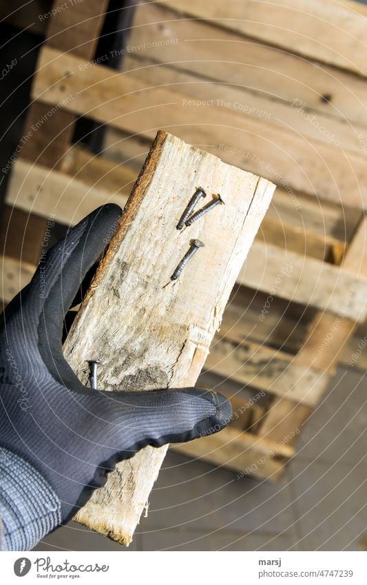 Werkstatt | Plattgeklopfte Nägel in einem Stück Holz. Gehalten von einer Hand in grauem Handschuh. Brennholz plattgemacht Palette sonderbar Rohstoff