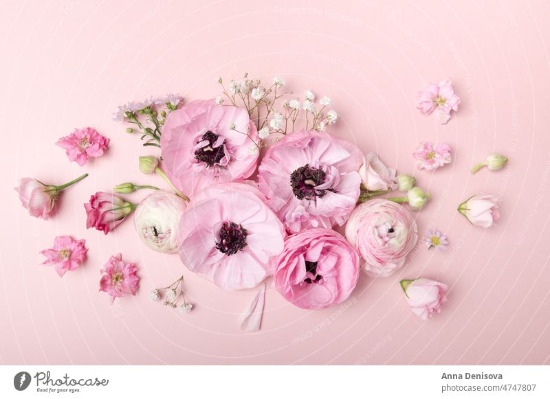 Blumenarrangements aus zarten Ranunkelblüten Ranunculus Blumenstrauß trendy Haufen Blütezeit Tapete Postkarte flache Verlegung Strauß Ranunkeln Hintergrund