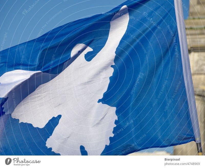 Zur Kundgebung "Sound of peace" am 20. Februar 2022 wird am Brandenburger Tor in Berlin eine Fahne mit Friedenstaube geschwenkt Taube blau weiß Krieg Ukraine