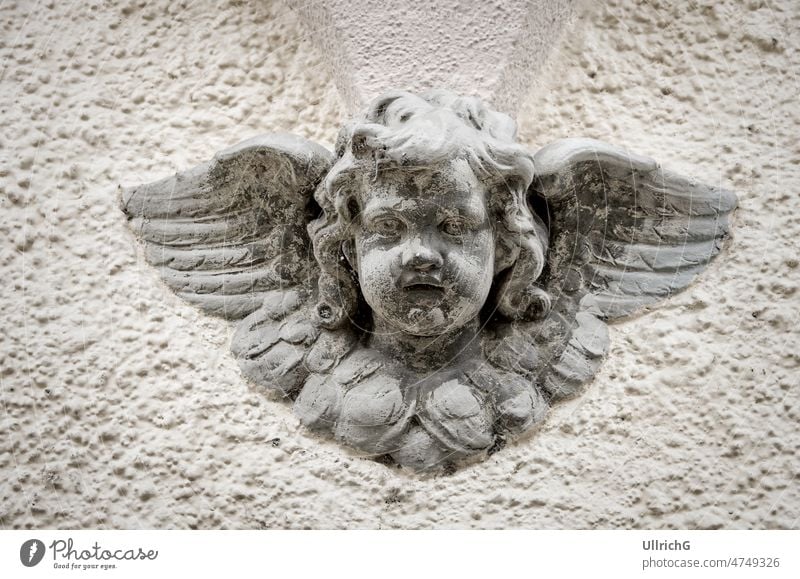 Kopfskulptur eines kindlichen Engels mit Flügeln an einer Hausfassade. Gesicht Blick Messenger Cherub geflügelt geflügeltes Wesen kleiner Engel Engelswesen