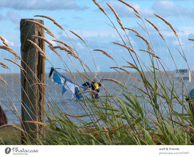 Kitelife Kiting kiteboarding Wind Funsport