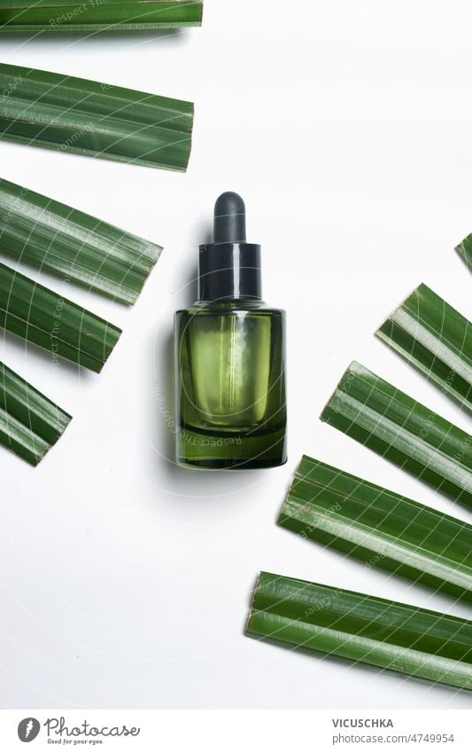 Kosmetikflasche aus grünem Glas mit Pipette auf weißem Hintergrund mit grünen Palmenblättern. Hautpflege feuchtigkeitsspendend Gesichtsserum weißer Hintergrund