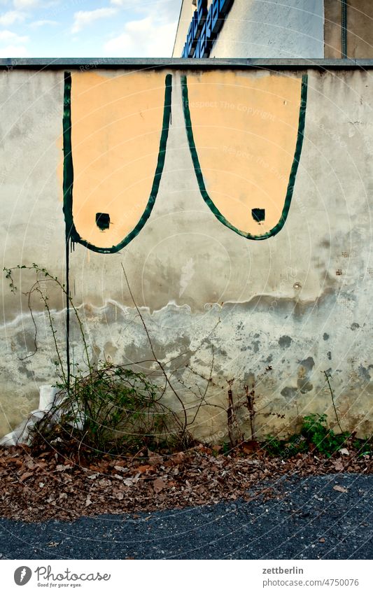 Sexualisierte Visualisierung aussage besessenheit brust farbe geschlechtsmerkmal gesprayt grafitti grafitto illustration kinderzeichnung kreide kreidezeichnung