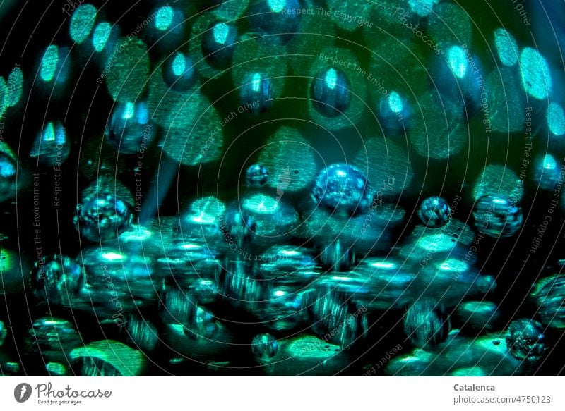 Eingeschlossene Luftblasen im grünen Glas Textrur Struktur Strukturen & Formen Blasen rund Murmel Kugel Licht leuchten Grün Schwarz abstrakt glänzend Farbe Tag