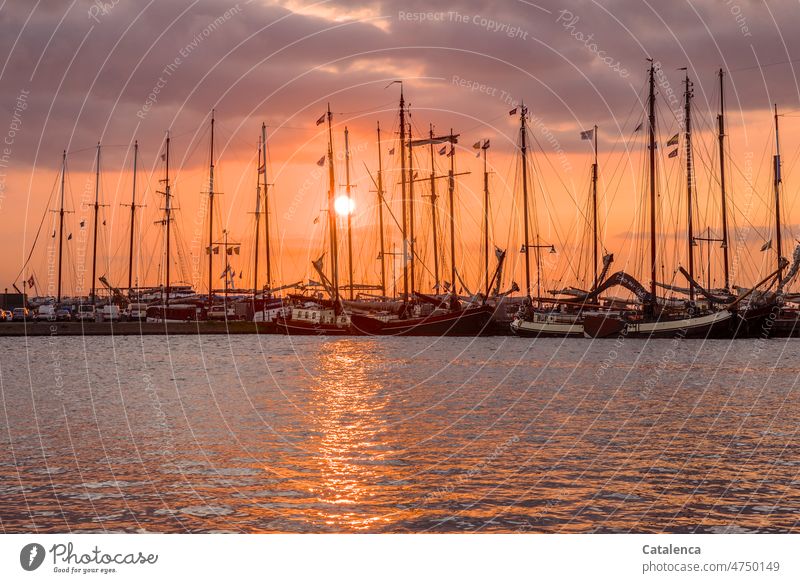 Sonne geht hinter den Masten der Plattbodenschiffe unter Schwarz Orange Hafen Abenteuer Wasser Meer Boot Schifffahrt maritim Umwelt Tageslicht Klima Wetter