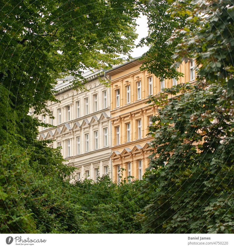 Elegante Wohnungen durch belaubte Bäume betrachtet Appartement Wohnhaus Historische Bauten Architektur Fassade Haus Altbau Klassische europäische Wohnungen Grün