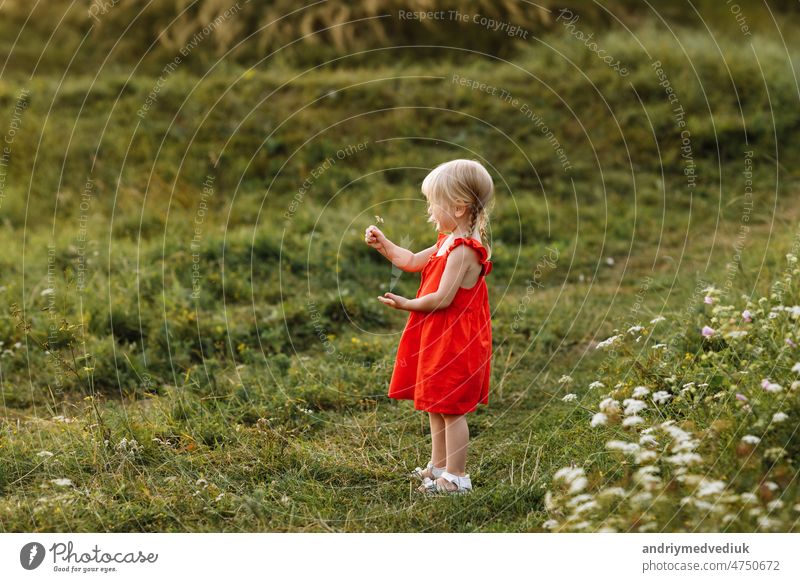 Porträt eines kleinen schönen Mädchens in rotem Kleid in der Natur am Sommertag Urlaub. Das Spielen in der grünen Wiese bei Sonnenuntergang Zeit. Nahaufnahme. Das Konzept der Familie Urlaub und Zeit zusammen.