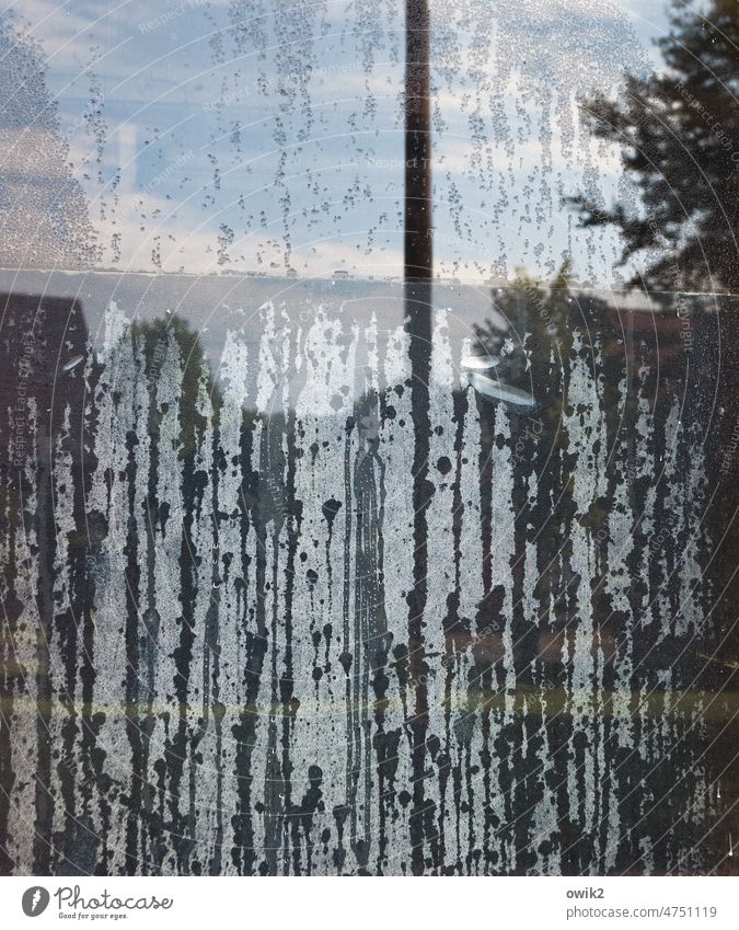 Sichtfeld Glas trist nass Farbfoto Strukturen & Formen Schwache Tiefenschärfe Silhouette Totale Fenster Wassertropfen Fensterscheibe ruhig geduldig Traurigkeit