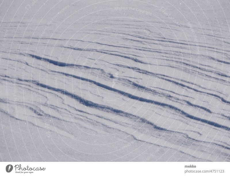 Feine Wellenstrukturen auf einer Schneedecke Strukturen & Formen Winter Verwehung weiß kalt unberührt Linien Winterstimmung Schneelandschaft Wintertag Natur