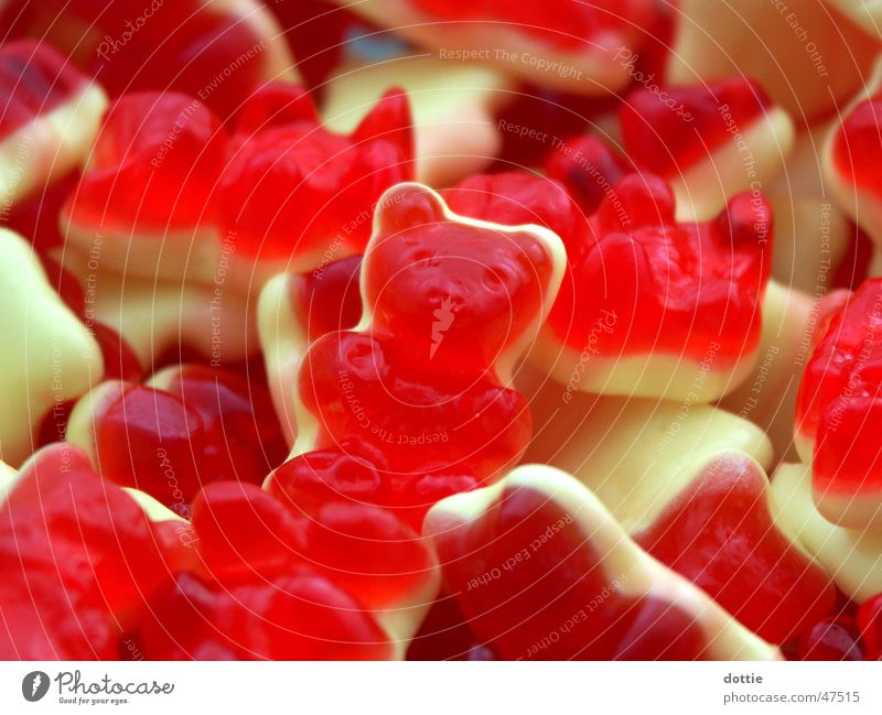 Bärchenhaufen Gummibärchen rot gelb lecker süß Süßwaren Ernährung Haufen