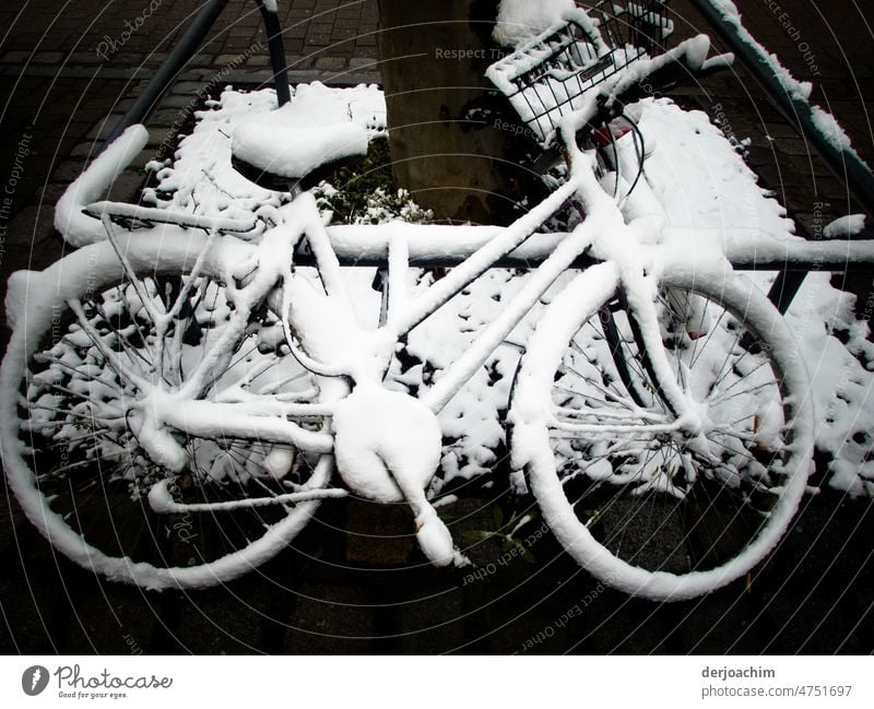 Fahrrad total eingeschneit. Diebstahl gesichert durch eine Querstange. Kontrast Fahrradfahren Winter kalt Landschaft Kälte weiss Natur Frost Wintertag