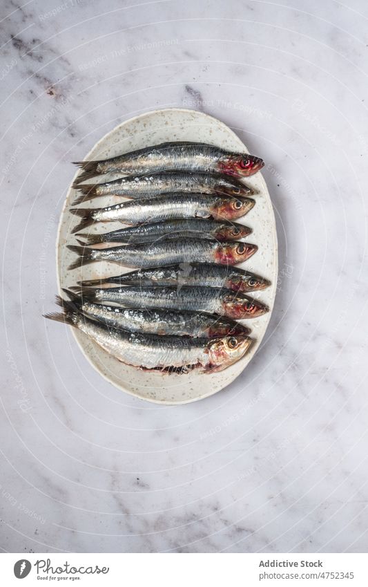Roher Fisch auf dem Teller roh Sardinen frisch Murmel Tisch Haufen natürlich Meeresfrüchte Bestandteil marin Feinschmecker Produkt Lebensmittel ungekocht ganz
