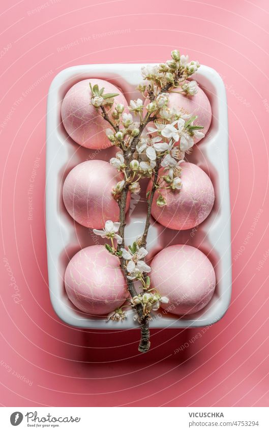 Rosa Ostereier in weißem Eierhalter mit weißer Kirschblüte auf rosa Hintergrund Klammer Kirschblüten saisonbedingt Frühling Einstellung Draufsicht schön