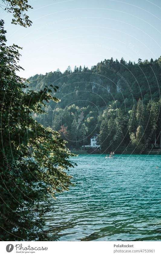 #A0# Bergsee lake bled See Seeufer Wasser Slowenien Gebirgssee Wasseroberfläche Sommer baden