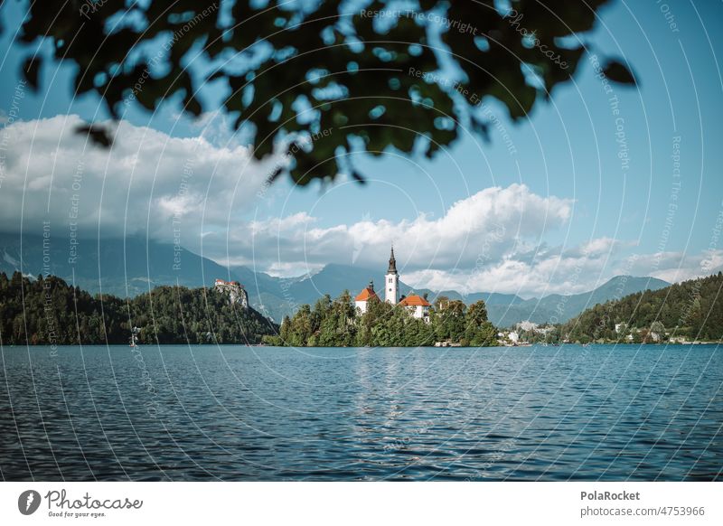 #A0# Bist'e Bled? lake bled geblutet See Seeufer Wasser Slowenien Kirche Kirchturmspitze Gebirgssee Außenaufnahme Berge u. Gebirge Landschaft Natur Insel