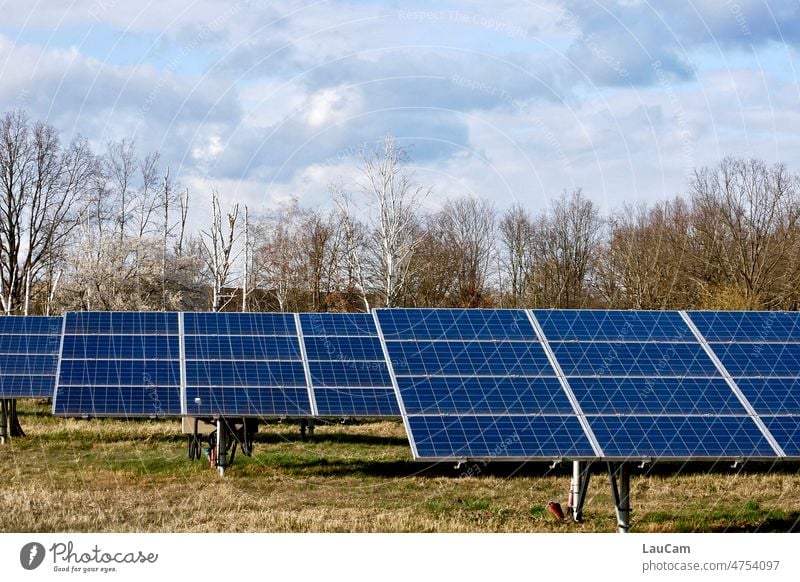Erneuerbare Energie - Solarzellen fangen die Sonne ein Solarenergie Solaranlage erneuerbare Energiequellen Solarmodul Kollektoren Solarpark Sonnenlicht