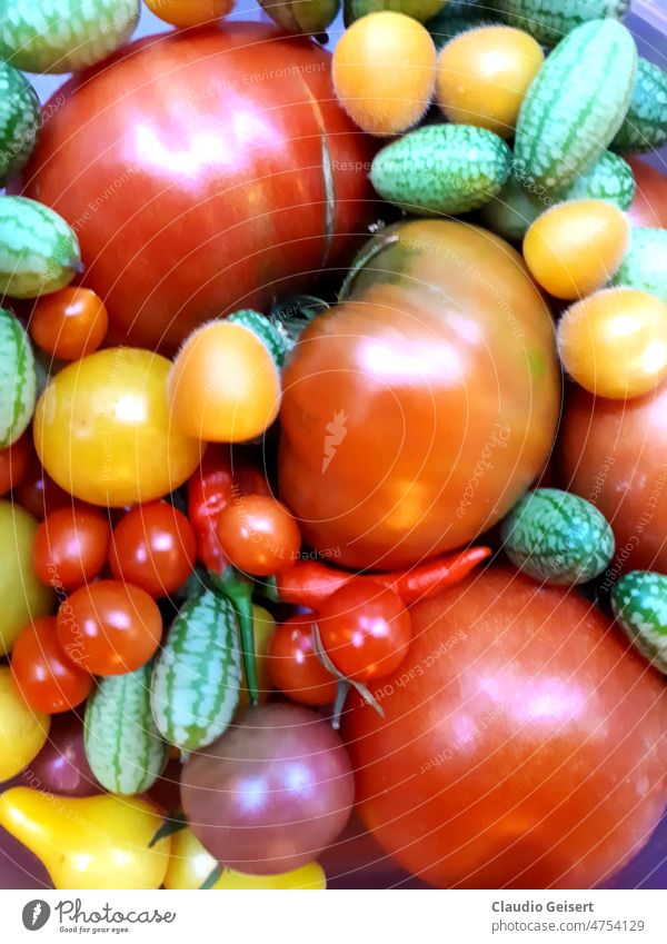 Tomaten, Gurken und Chilies Gemüse Gesund Vegetarisch Lebensmittel Bioprodukte Garten Ernährung