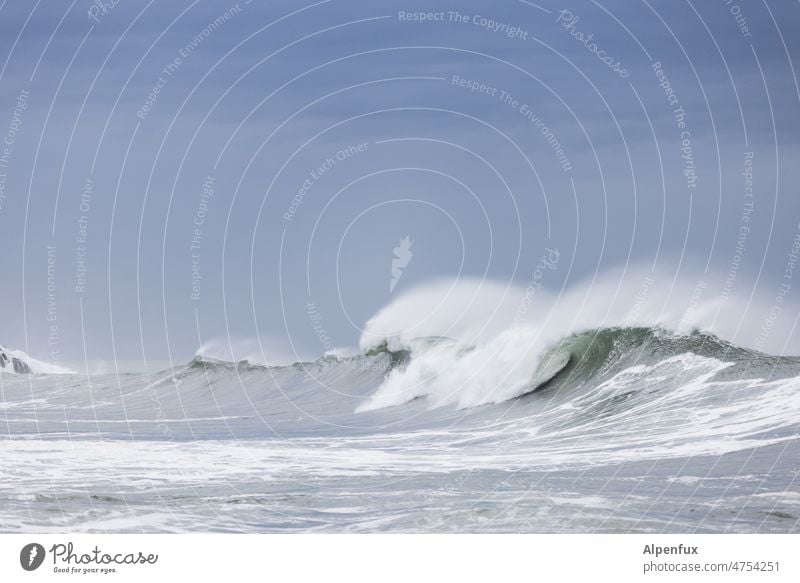 gebrochene Welle Wellen Wellengang Wellenform Gischt Meer Wasser Farbfoto Meerwasser Menschenleer Wellenschlag Natur Wellenbruch Außenaufnahme Atlantik gewaltig