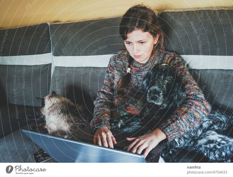 Junge Frau bei der Arbeit zu Hause, umgeben von ihren Haustieren heimwärts Telearbeit Single Hund Katze Laptop freiberuflich Programmierer Entwickler Designer