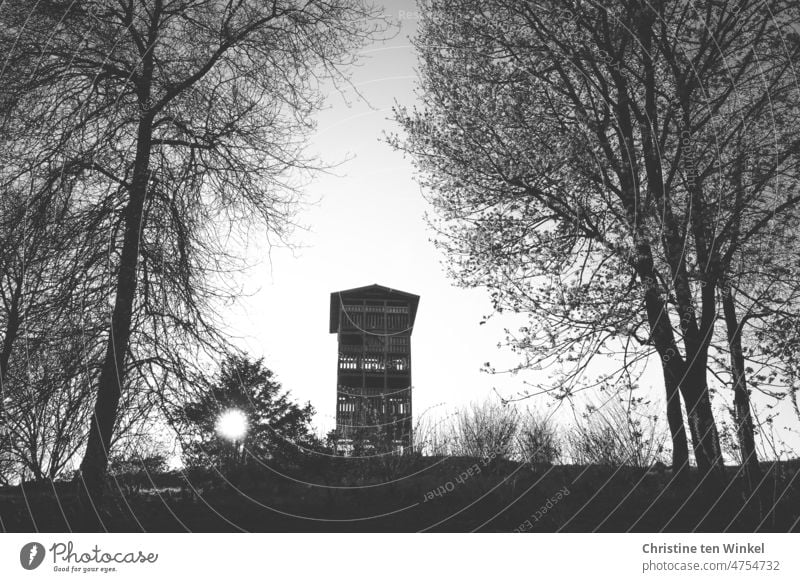 Ein Aussichtsturm aus Holz, Bäume rechts und links und die Sonne hinter einem Strauch versteckt... Gegenlichtaufnahme in schwarzweiss Holzturm Ausflugsziel