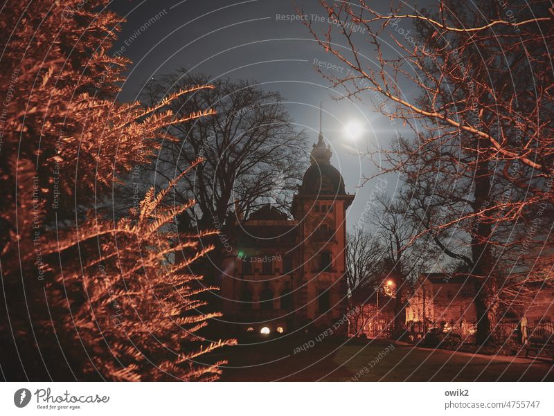 Mondlandschaft Villa Sträucher Bäume Mondlicht Low Key leuchtend Straßenbeleuchtung düster Langzeitbelichtung geheimnisvoll vornehm gediegen urban Jugenstil