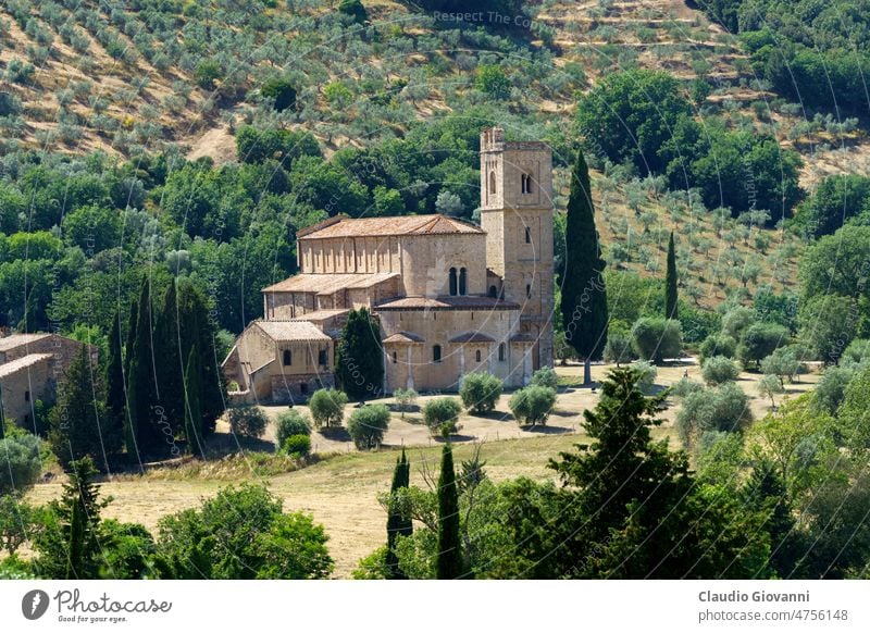 Mittelalterliche Kirche von Sant Antimo, Toskana, Italien Europa Siena antik Architektur Gebäude Farbe Zypresse Tag Außenseite historisch Wahrzeichen