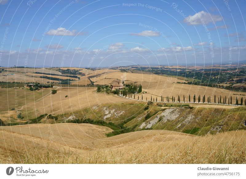 Ländliche Landschaft bei Asciano, Toskana, Italien Europa San Giovanni d Asso Siena Ackerbau Farbe Tag Bauernhof Feld grün Hügel Natur im Freien Fotografie