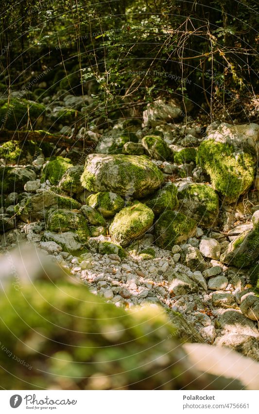 #A0# Bachbett bachlauf Bachufer Stein steinig Moos Moosteppich moosbedeckt moosgrün Slowenien wanderweg