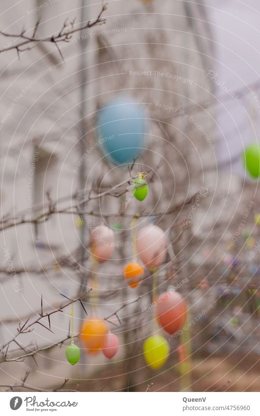 Ostereier Ostern Tradition Dekoration & Verzierung Ei Eier Feste & Feiern Frühling bunte Eier mehrfarbig Eierschale grün Außenaufnahme Osternest