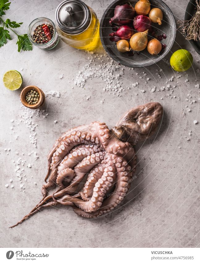 Ganzer roher Oktopus auf dem Hintergrund eines Betontisches mit geschmackvollen Zutaten ganz Octopus Tisch Salz Paprika Olivenöl Kalk Zwiebel Küchenkräuter