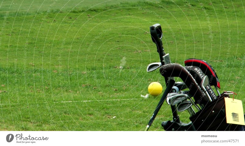 ...allein im Grün grün Wiese Golf Rasen putter Ball Detailaufnahme