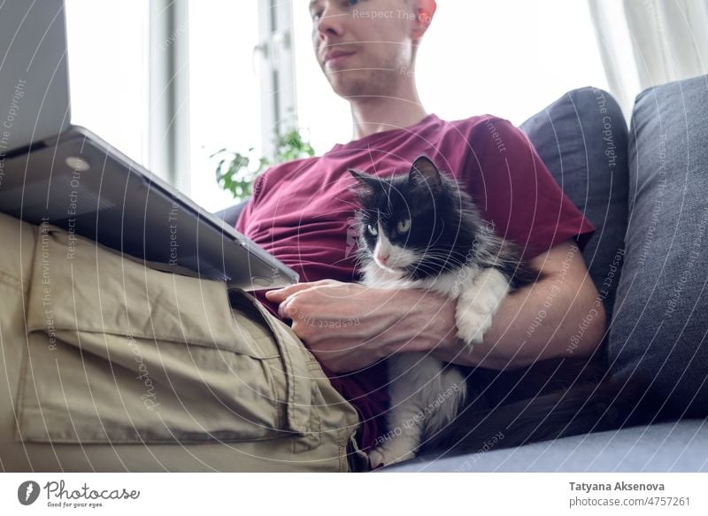 Mann arbeitet mit seiner Katze am Laptop männlich Haustier Kraulen arbeiten IT entspannend heimwärts Computer Person im Innenbereich Technik & Technologie