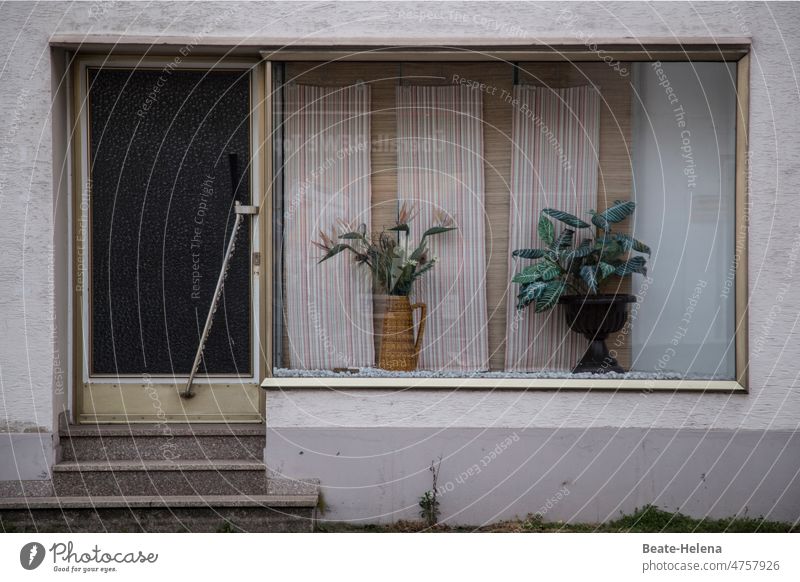 Wohnen im Stil der 70er Jahre Haus Hauseingang Fassade Fenster Schaufenster Architektur Häusliches Leben Dekoration Pflanzen Pflanzenschmuck Außenaufnahme