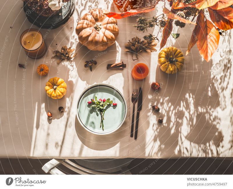 Herbststilleben mit gedecktem Tisch, Kürbissen, Besteck, Herbstzweigen und Kerzen auf dem Tisch mit Sonnenlicht und Schatten. Stillleben Tabelleneinstellung